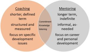 A Venn diagram showing the differences and commonalities between Executive Coaching and Business Mentoring.