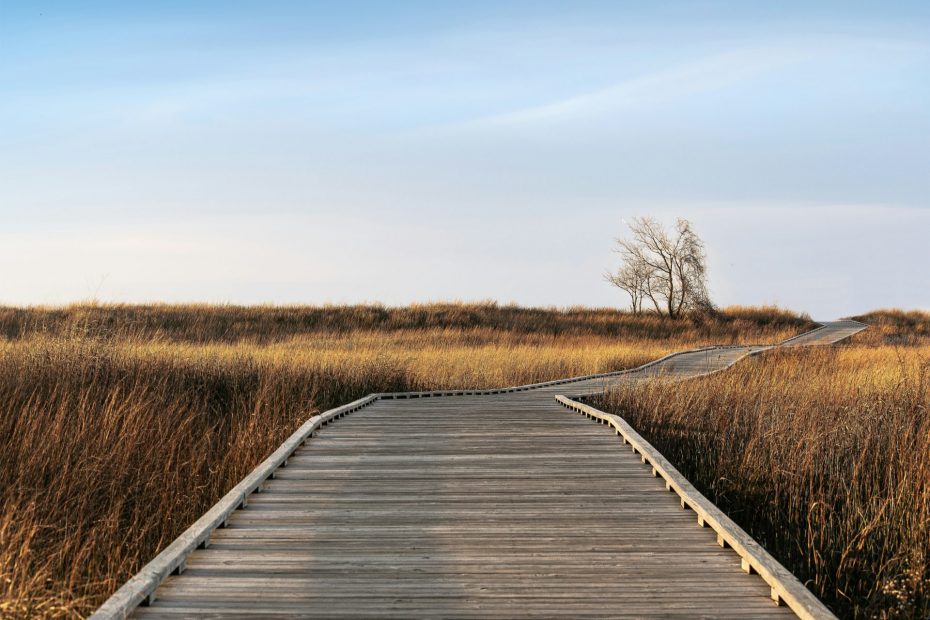 Wooden boardwalk laid across barren terrain, receding into distance.