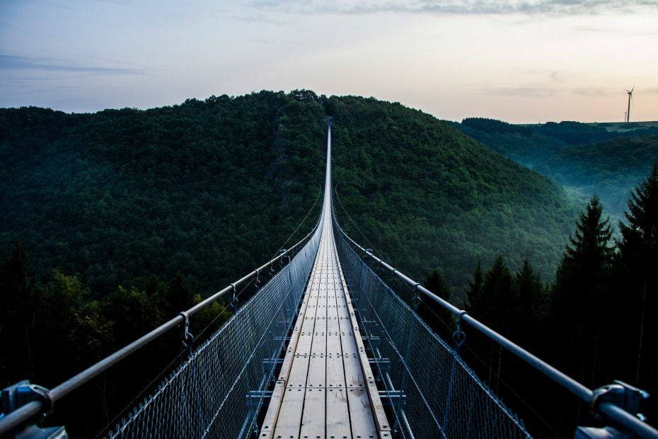 Picture of rope bridge receding into the distance over a ravine.